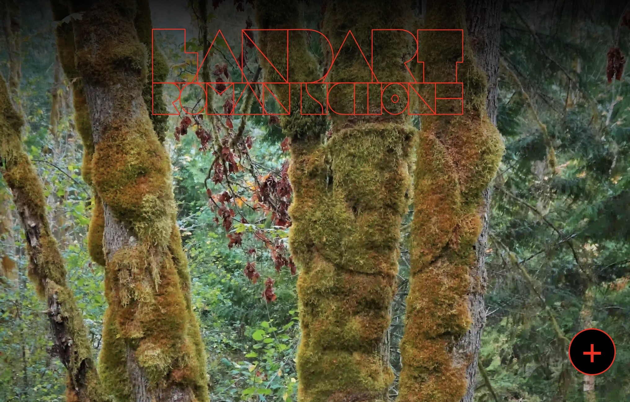 Animated vector logo from the Roman Schöne Land Art portfolio site